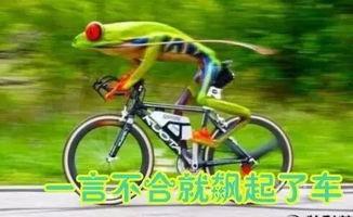 娱乐吃瓜酱自行车,自行车界的潮流新宠 第1张 娱乐吃瓜酱自行车,自行车界的潮流新宠 第1张