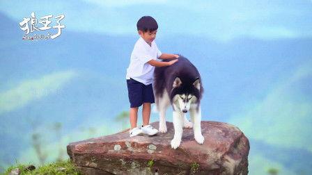 狼王子在线观看18,18岁青春冒险之旅  第2张